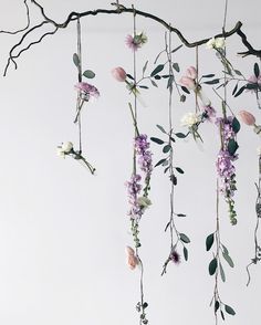 an arrangement of flowers hanging from a branch with leaves and branches attached to the ceiling