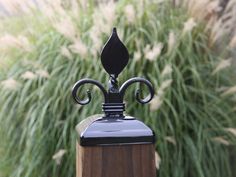 an iron post with a black top and decorative finial is shown in front of some tall grass