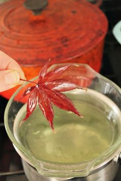 a person is holding a leaf over a liquid in a glass container on the stove