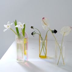 Add a pop of kaleidoscopic illumination to your countertops, with our iridescent acrylic arch vase. Vase Nordic, Colorful Vase, Acrylic Vase, Acrylic Ideas, Flower Vases Decoration, Modern Outdoor Lighting, Acrylic Flowers, Modern Vase, Centre Pieces