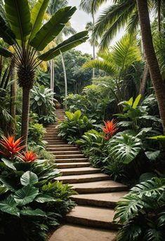 an outdoor garden with lots of tropical plants and stairs leading up to the top floor