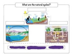 an image of what are the natural cycles? with pictures and text on it, there is