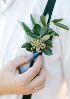 a close up of a person holding a boutonniere