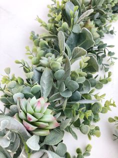 some very pretty green plants on a white table