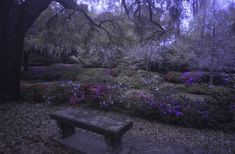 a bench sitting in the middle of a park filled with purple and white flowers under a tree