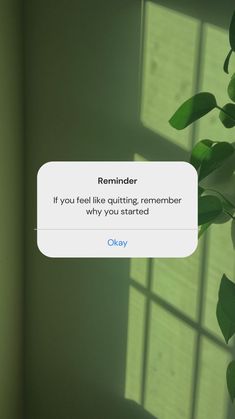 the text reads reminder if you feel like quiting, remember why you started okay