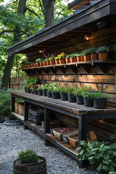 an outdoor garden area with potted plants and wooden shelves on the side of it