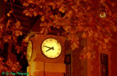 a clock tower lit up at night with trees in the background