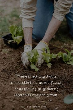 Let’s read an inspiring collection of garden quotes that will remind us of the wisdom, beauty, and life lessons found in the petals and greenery of a garden! Quotes On Creativity, Quotes About Creativity, Start Where You Are, Creativity Quotes, Insightful Quotes, Famous Authors, Feel Inspired