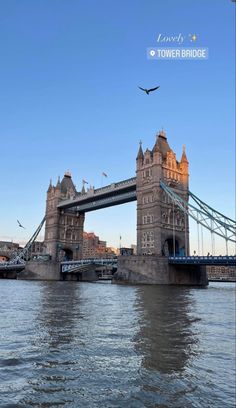 an airplane flying over tower bridge on the river thames in london england, united kingdom