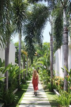 a woman in a red dress walking down a path between palm trees and white walls