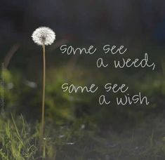 Make a wish! A Dandelion, Inspirational Quotes Pictures, Wonderful Words, Encouragement Quotes, Inspirational Quotes Motivation