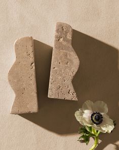 a white flower sitting next to two pieces of stone