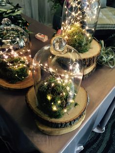 three glass domes filled with moss and lights on top of a table next to potted plants