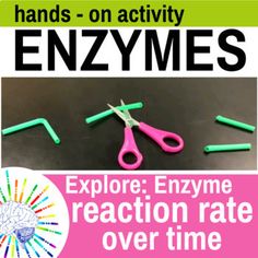 an image of some scissors on the table with text reading hands - on activity enzymes