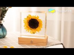 a sunflower in a glass case sitting on a table