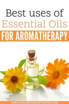 Essential oils are used in aromatherapy to create a soothing, calming scent. They're also used in beauty routines, home cleaning, and cooking. This article discusses the best uses of essential oils for aromatherapy. #OilsForAromatherapy #EssentialOilsBenefits #Skin #Hair Make Your Own Skincare, Healing Wounds, Benefits Of Essential Oils, Essential Oils For Skin, Calming Scents