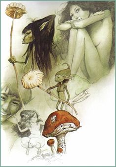 an image of a fairy tale with mushrooms and elves in the background, as well as a woman holding a flower