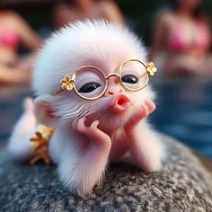 a small white animal wearing glasses sitting on top of a rock