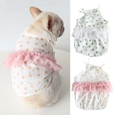 a small dog wearing a white and pink polka dot shirt with ruffles on it