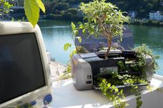 an old computer with plants growing out of it next to a small tree on a boat