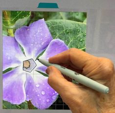 a hand holding a pen and drawing a flower on a piece of paper with purple flowers