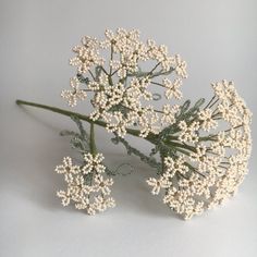 a bunch of white flowers sitting on top of a table