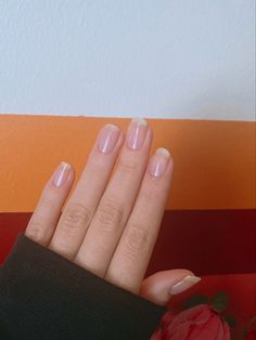 nails, short nails, neutral nails, manicure ideas, simple nails, spring nails Semi Short Nails, Simple Clean Nails Natural, Natural Nails Regular Polish, Solar Nails Natural Short, Natural Nails Real Short, Clean Nails Short, Short Clean Nails Natural, Basic Manicure Natural