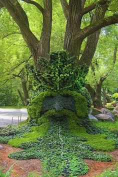 a large tree covered in green plants next to a forest filled with lots of trees