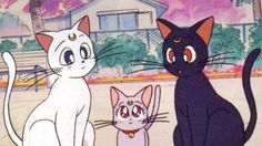 an image of three cartoon cats in front of a house