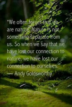 a quote from andy goldsworthy on nature