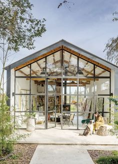 a dog is sitting in front of a glass and metal building with doors open to the outside