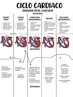 the diagram shows different stages of heart surgery