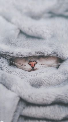 a cat is hiding under a blanket with its eyes closed and it's head peeking out