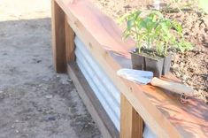 a potted plant sitting on top of a wooden bench