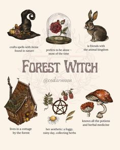 Storyboard Ideas, Male Witch, Nature Witch, Witch Room, Forest Witch, Witch Spirituality, Vulture Culture, Witches Altar, Wiccan Spell Book