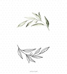 an olive branch with leaves drawn on it