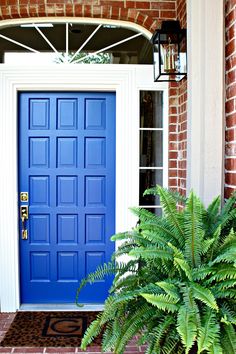 a blue front door with potted plants on the side