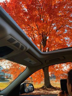 a person is taking a picture in the back seat of a car with an orange tree behind them