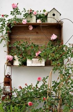 a shelf filled with lots of flowers next to a wall mounted birdhouse on top of a wooden board