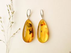 "These natural baltic amber earrings are the best choice if you want to brighten up your eyes! Their color is so unique, it balances between yellow and green, so it makes them really stand out of the other jewelry! Don't miss your chance to wear these exclusive and original genuine amber drops earrings. MATERIALS AND SIZE: Stone: 100% Natural baltic amber Findings: Sterling silver 925 Earrings A: Weight: 13,3 g  (0,46 oz)                                                     Bead size:4,6 cm (1,81 in) x 2,2cm (0,86 in)                       Total length: 6,6 cm (2,59in) Earrings B: Weight: 13,3 g  (0,46 oz)                                            Bead size: 5 cm (1,96 in) x1,9 cm (0,74 in) Total length: 7 cm (2,75 in) PLEASE NOTE: All our amber production is made of natural amber. Amber i Handmade Amber Teardrop Earrings, Elegant Yellow Baltic Amber Earrings, Yellow Baltic Amber Earrings, Baltic Amber Drop Earrings, Teardrop Baltic Amber Earrings In Amber, Amber Teardrop Baltic Amber Earrings, Yellow Baltic Amber Teardrop Jewelry, 925 Earrings, Amber Earrings