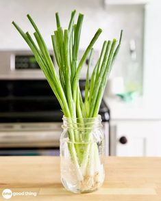 some green onions are in a mason jar