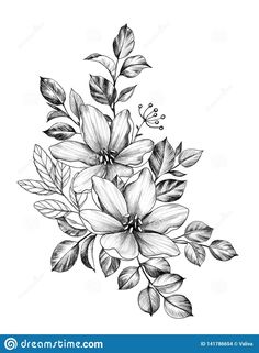 black and white drawing of flowers with leaves on a white background stock photo - image