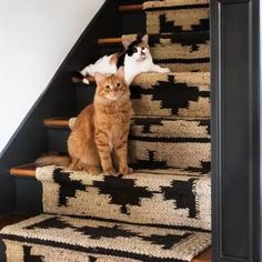 two cats are sitting on the stairs and one is looking at the camera while the other looks up