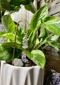 a potted plant sitting on top of a table next to a white vase filled with plants