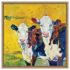 two cows standing next to each other in front of a yellow background, with one cow looking at the camera