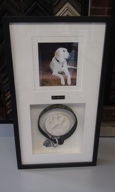 a dog's paw is shown in a shadow box