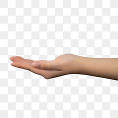 a person's hand holding something in the air