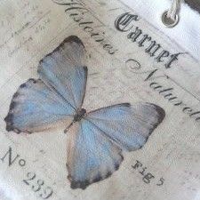 a close up of a blue butterfly on a piece of paper