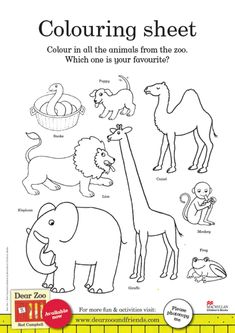 the coloring sheet for children's zoo animals